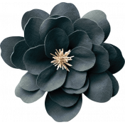 Charlotte's Farm Element flower navy 2