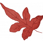 Charlotte's Farm Mini leaf red