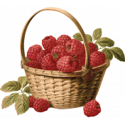 Charlotte's Farm Raspberries Basket 2