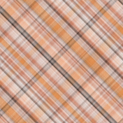 Lakeside Autumn Plaid Paper 8