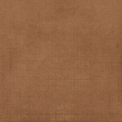 Lakeside Autumn Brown Solid Paper 01