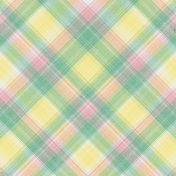 Soup's On Plaid Paper 05