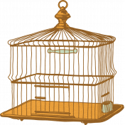 Feathers And Fur Element birdcage