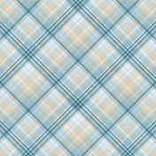 Feathers & Fur Plaid Paper 01