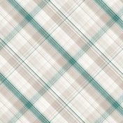 Fancy A Cup Plaid Paper 11