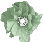 Teal creppe flower