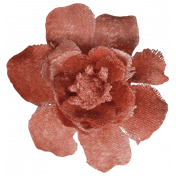 Velvet Flower3