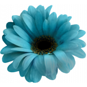 My Life Palette- Realistic Flower (Turquoise)