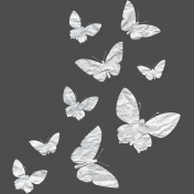 Wild & Free Wrinkled Butterfly Scatter