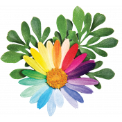 Color Your World_Rainbow Daisy Cluster