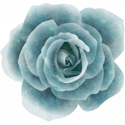 Mind Garden_Blue Rose