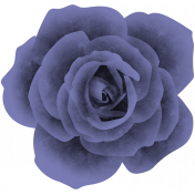 Mind Garden_Purple Rose