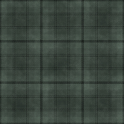 Vintage Vibes_Sage Tartan Paper