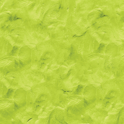 Clay Time_ Plasticine Paper_Lime Green