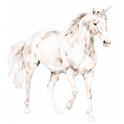 Believe Galloping Unicorn Element