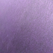 PurplePP