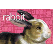 easter card with (the word) rabbit