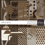 Color Basics- Brown Kit