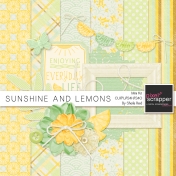 Sunshine And Lemons Blog Hop Mini Kit