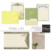 Pond Life Journal Cards Kit