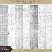 Transparent Overlays- Distressed Set 01