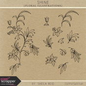 Shine Floral Illustrations Kit