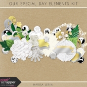 Our Special Day Elements Kit