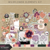 Wildflower Elements Kit