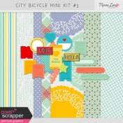 City Bicycle Mini Kit #3