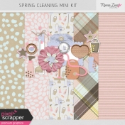 Spring Cleaning Mini Kit