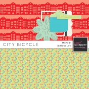 City Bicycle Mini Kit #1