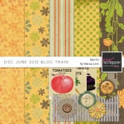 DSC June 2012 Blog Train Kit