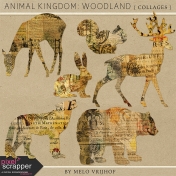 Animal Kingdom- Woodland Collages