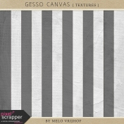 Gesso Canvas- Textures