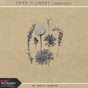 Dried Flowers- Templates