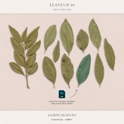 Leaves No.10