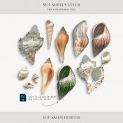 Seashells Vol.II