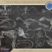 Chills & Thrills- Chalk Skeleton Stamp Kit 2