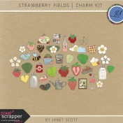 Strawberry Fields- Charm Kit