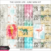 The Good Life: June Mini Kit