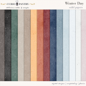 Winter Day Paper- Solids
