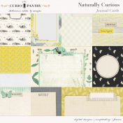 Naturally Curious Journal Cards