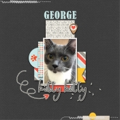 George the Kitty Kat