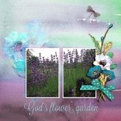 God's Flower Garden