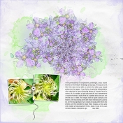 Fractal Clematis