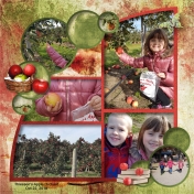 Apple Orchard 1