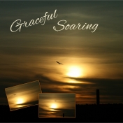 Graceful Soaring