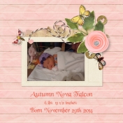 Autumn Nova Falcon