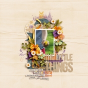 The Little Things2