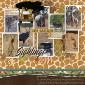 Sightings on Safari